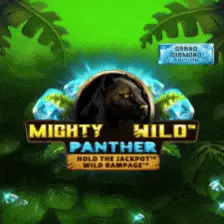Wild Panther